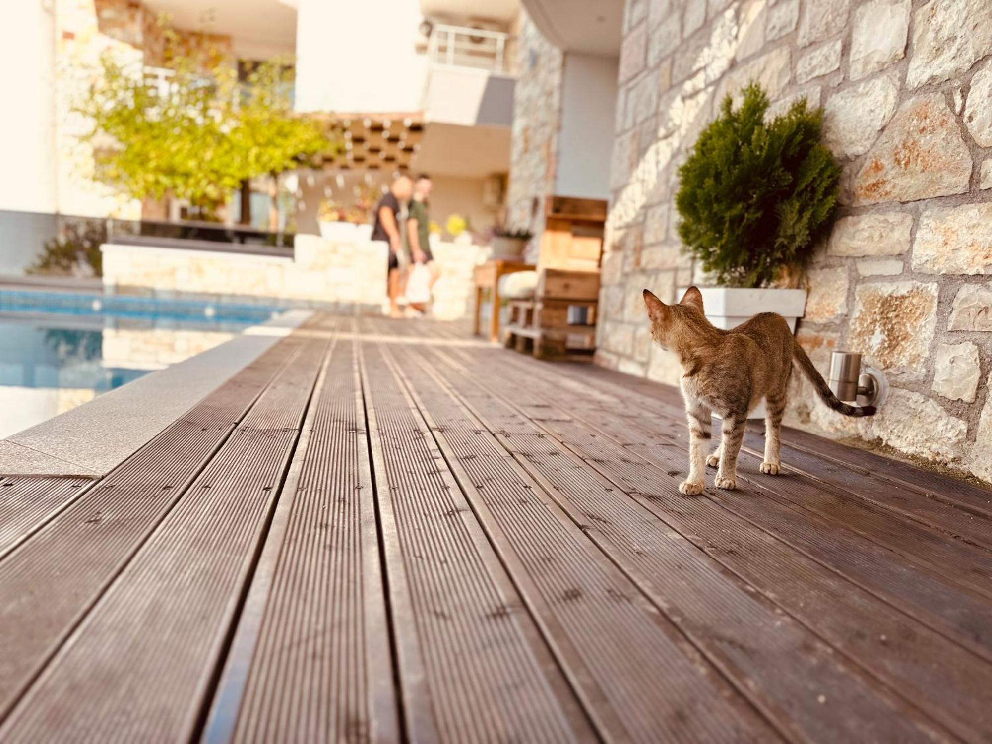 Villa Merkuri Himarë Extérieur photo